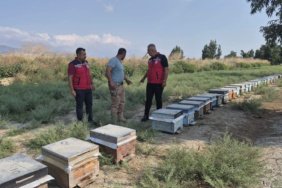 Antakya039da-bal-sagimi-suruyor-featured