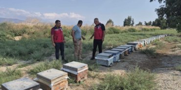 Antakya039da-bal-sagimi-suruyor-featured