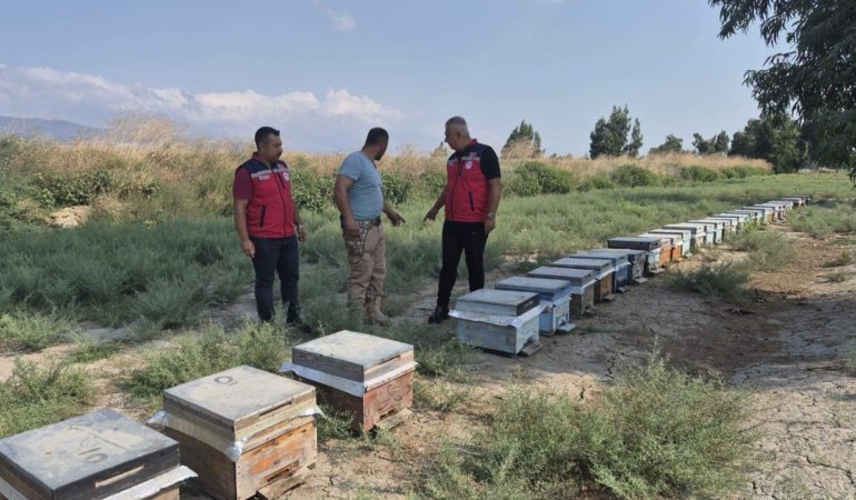 Antakya'da bal sağımı sürüyor