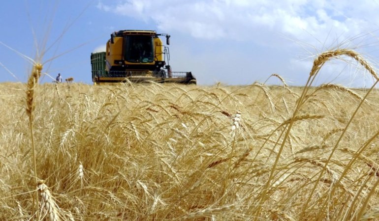 Türkiye tarımsal hasılada dünyada 7'nci, Avrupa'da birinci sırada