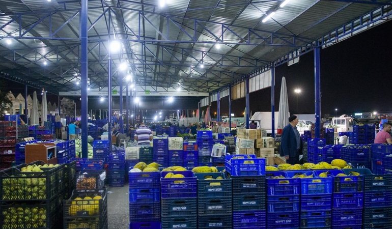 Yaş meyve ihracatı, 7 ayda 1 milyar doları aştı