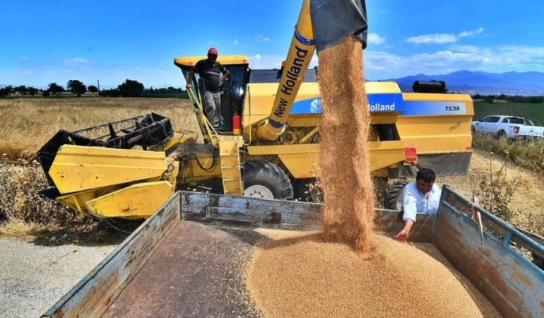 1 litre yakıta 6 kilo buğday