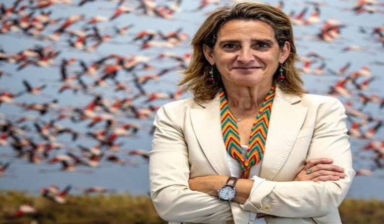 Airbus, Thales ve Leonardo üçlüsüne Brüksel freni: "İmtiyaz beklemeyin"