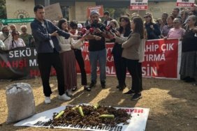 Bizim-madenimiz-misir-ve-findik-featured