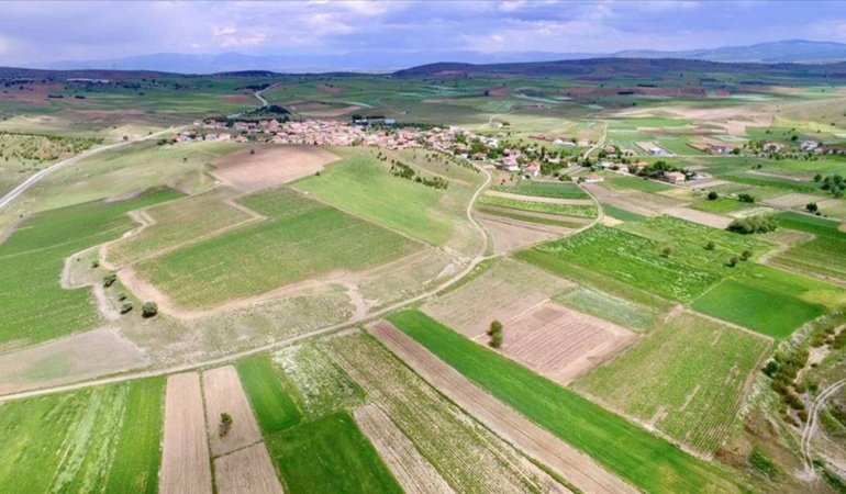 Ekmeyenin tarlası kiraya verilecek: Tüm detaylar açıklandı