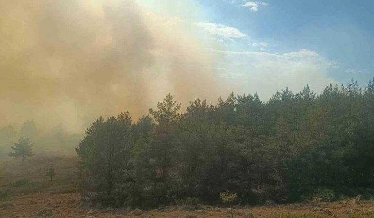 İstanbul ve Ankara'da korkutan orman yangını: Ekipler müdahale ediyor
