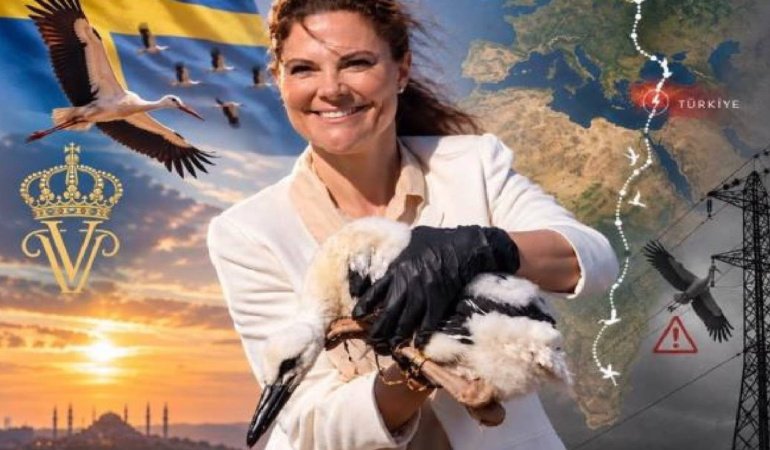 İsveç Prensesi Victoria'nın adını verdiği leylek Karaman'da ölü bulundu