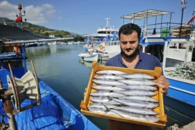 Karadenizde-sezonun-ilk-balik-bereketi-Fiyatlar-geriledi-featured
