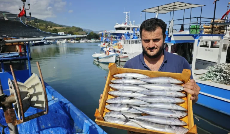 Karadeniz’de sezonun ilk balık bereketi: Fiyatlar geriledi!