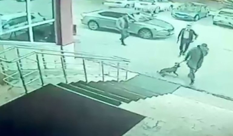 Köpeğe eziyet görüntüleri sonrası Palandöken Kaymakamı ve korumasına soruşturma