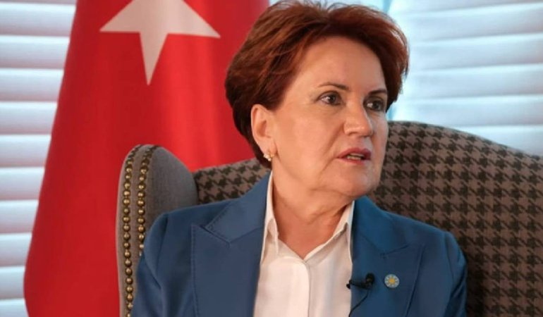 Meral Akşener Vakfı’nın logosu belli oldu