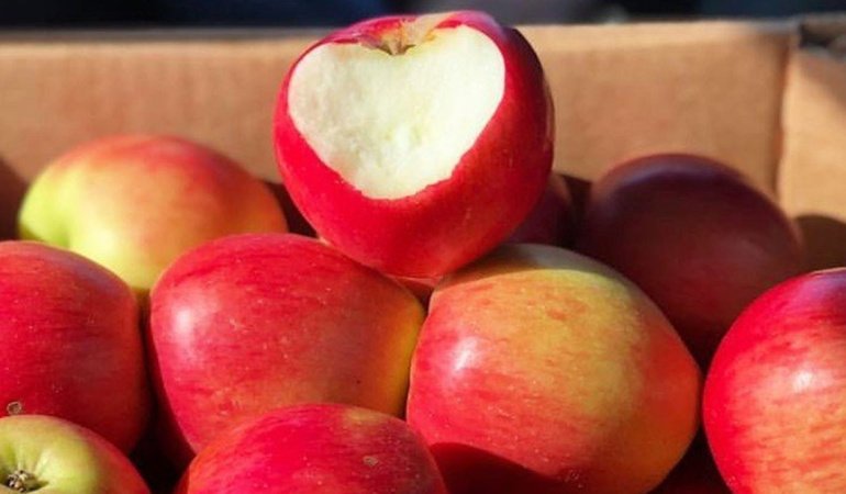 Namı büyük misket elması bu yıl bol ve uygun fiyatla geliyor