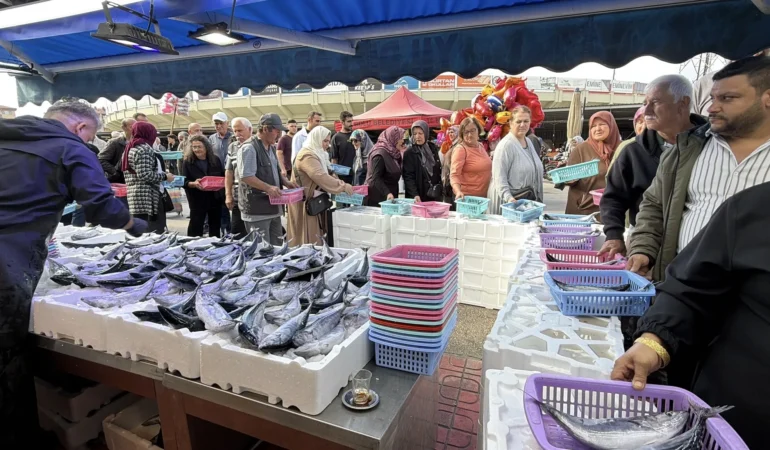 Palamut ve hamsi bolluğu! Bolu’da fiyatı 100 liraya düştü, tezgâhlarda kuyruk oluştu