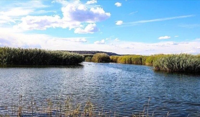 Resmi Gazete'de Yayımlandı: Sulak Alanlardan Su Alımına Yeni Düzenleme ve İzin Şartı!