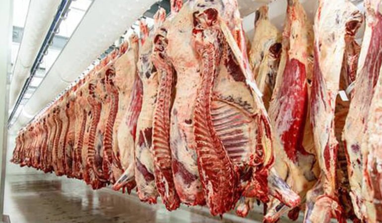 TİGEM 20 bin kilogram karkas sığır eti satacak