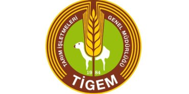 TIGEM-26-safkan-Arap-tayini-satisa-cikariyor-featured