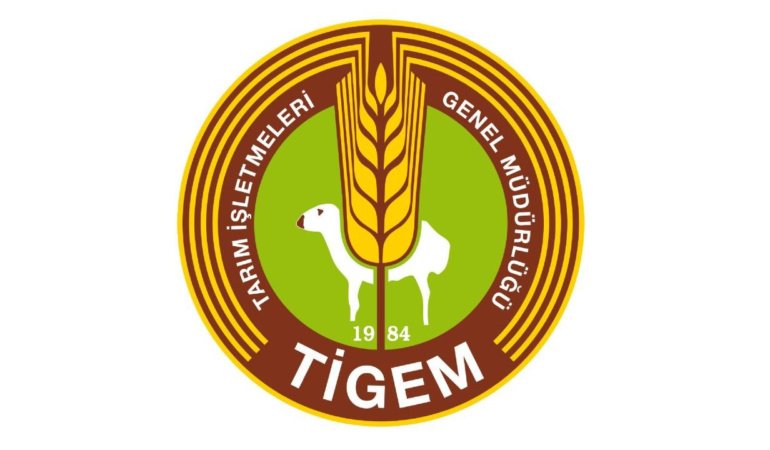 TİGEM 26 safkan Arap tayını satışa çıkarıyor