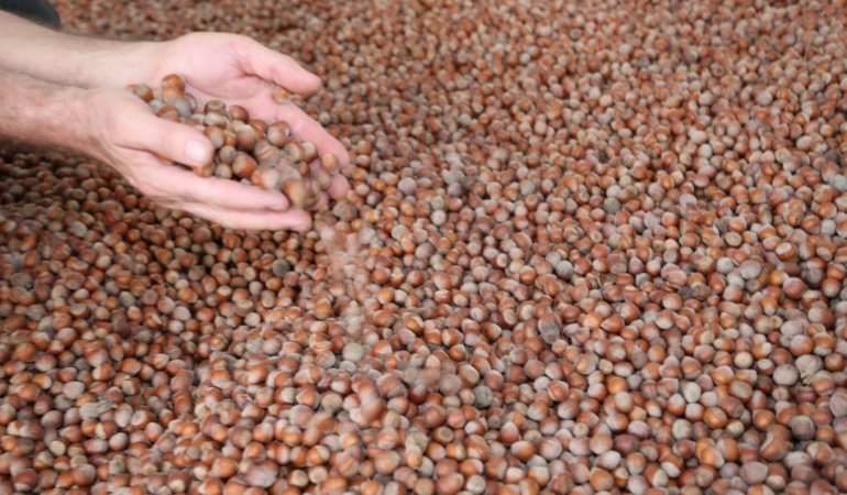 Ticaret Bakanlığı'ndan fındık piyasasına sıkı denetim