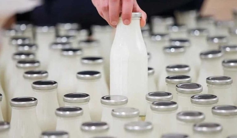 Toplanan inek sütü miktarı temmuzda 987 bin 634 ton oldu