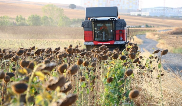 Yağlık ayçiçeği alım fiyatı açıklandı