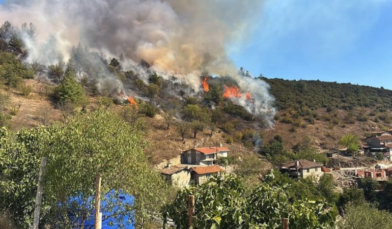 Bursa Büyükorhan'da orman yangını: Ekipler bölgeye sevk edildi