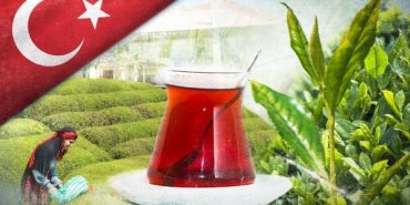 Cay-ihracati-9-ayda-25-milyon-dolari-asti-featured