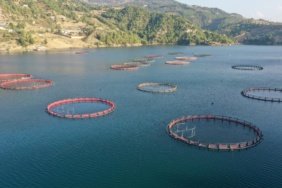 Su-urunleri-ihracati-9-ayda-18-milyar-dolara-ulasti-featured-1