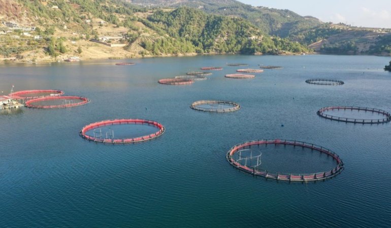Su ürünleri ihracatı 9 ayda 1,8 milyar dolara ulaştı